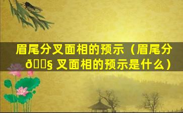 眉尾分叉面相的预示（眉尾分 🐧 叉面相的预示是什么）